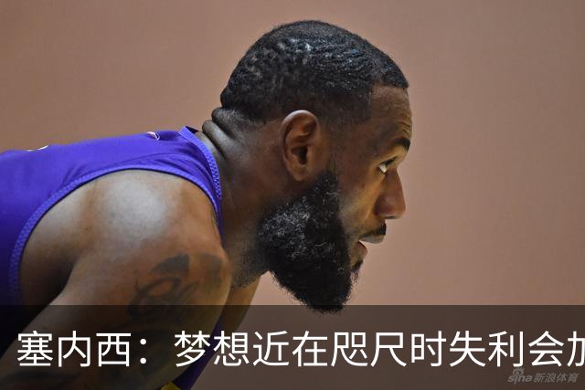 塞内西：梦想近在咫尺时失利会加倍刺痛，我们会重新站起来